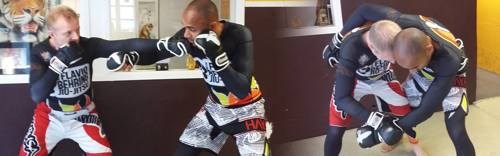Brian Berggren og Michael Nielsen træner FLOW som er et ny moderne MMA stil, hvor der også trænes gulvkamp